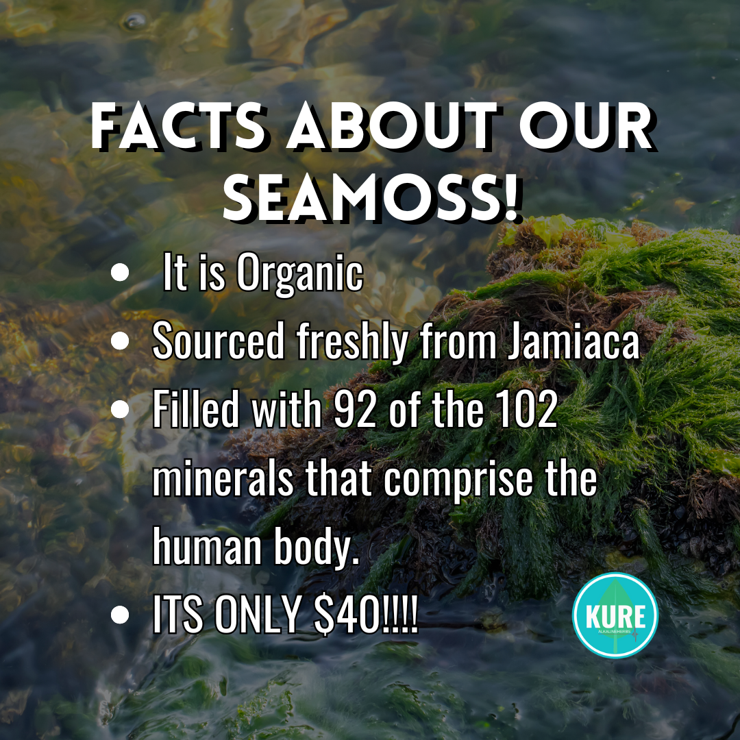 Organic Sea Moss Gel | Wild-Crafted